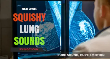 Understanding Squishy Lung Sounds: Causes and Clinical Implications Explained