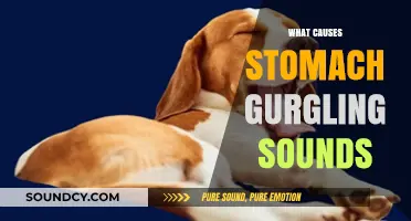 Understanding Stomach Gurgling: Causes and When to Seek Medical Advice
