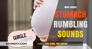 Why Your Stomach Growls: Uncovering the Causes of Rumbling Sounds