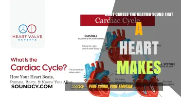 The Rhythmic Symphony of Life: Unveiling the Heart's Beating Mechanism