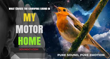 Decoding the Chirping Mystery: Your Motor Home's Noisy Culprits