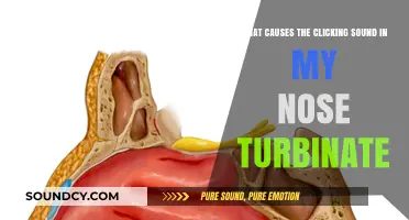 Unraveling the Mystery: What Causes That Clicking Sound in My Nose Turbinate?