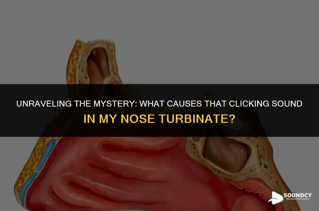 what causes the clicking sound in my nose turbinate