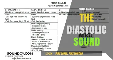 Understanding Diastolic Sound: Causes and Cardiac Physiology Explained