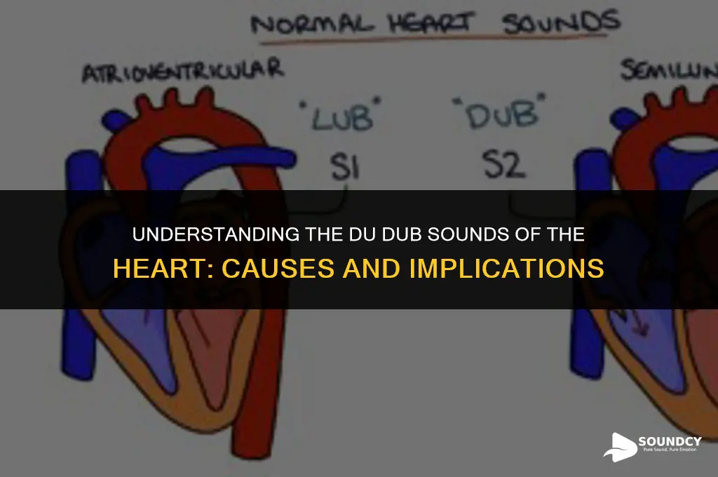 what causes the du dub sounds of the heart