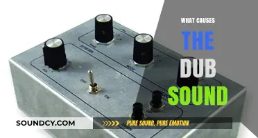 Unraveling the Origins: What Causes the Signature Dub Sound?