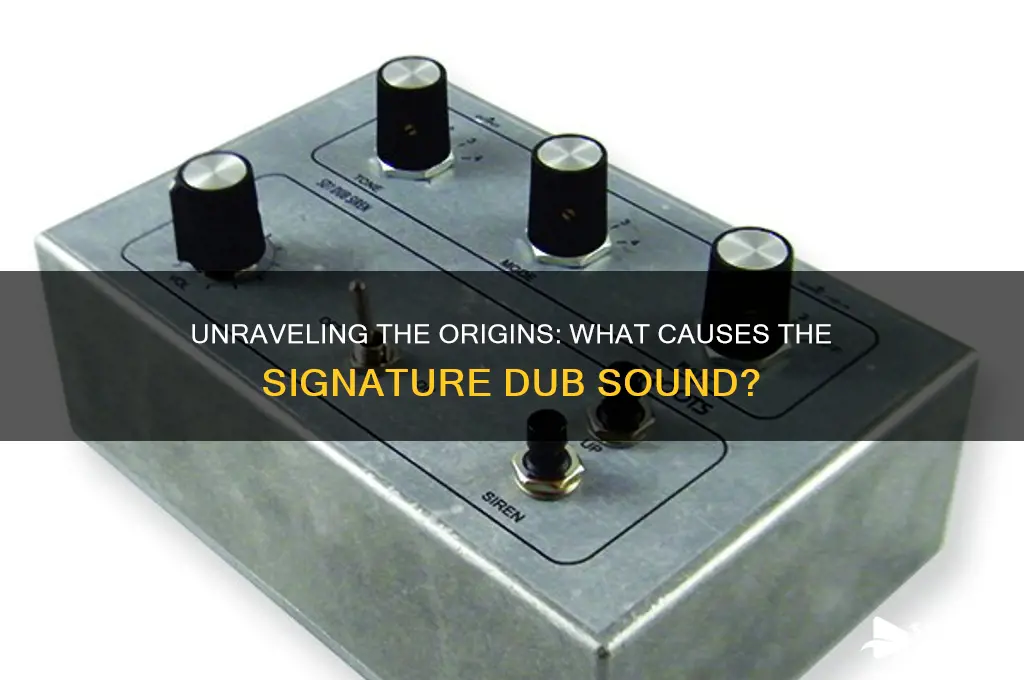 what causes the dub sound
