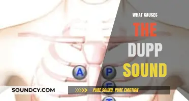 Unraveling the Mystery: What Causes the Distinct Dupp Sound?