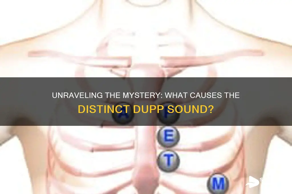 what causes the dupp sound
