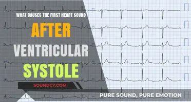 Understanding the First Heart Sound: A Guide to Ventricular Systole
