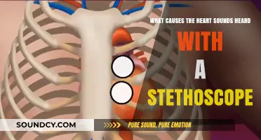 Understanding Heart Sounds: Causes and Mechanisms Behind Stethoscope Auscultation