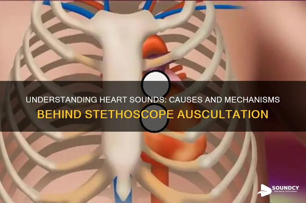 what causes the heart sounds heard with a stethoscope