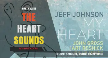 Understanding the Origins of Heart Sounds: A Comprehensive Guide