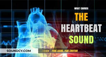 Unraveling the Science Behind the Heartbeat's Distinctive Sound