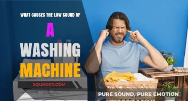 Decoding the Low Rumble: Causes of Washing Machine Noise