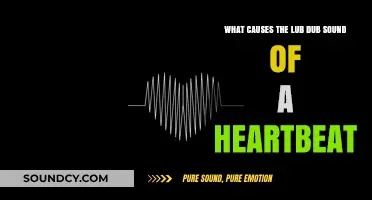 The Rhythmic Mystery: Unveiling the Causes of a Heartbeat's Lub Dub Sound