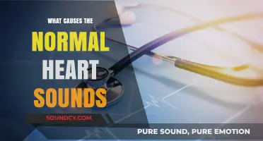 Heart Sounds: What's the Beat?