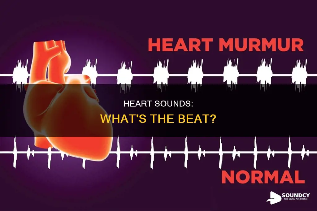 what causes the normal heart sounds