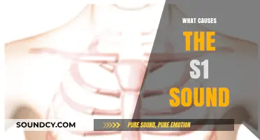 Understanding the S1 Heart Sound: Causes and Cardiac Mechanics Explained