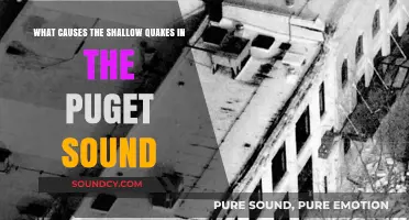 Understanding the Shallow Quakes in the Puget Sound Region