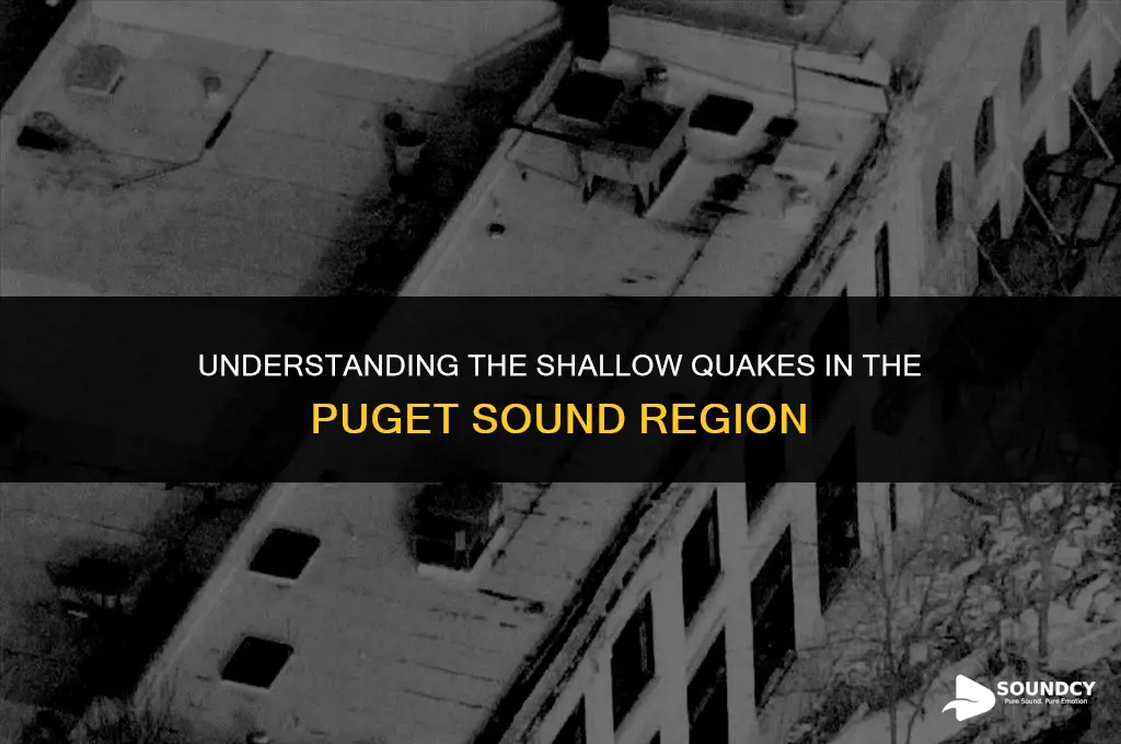 what causes the shallow quakes in the puget sound