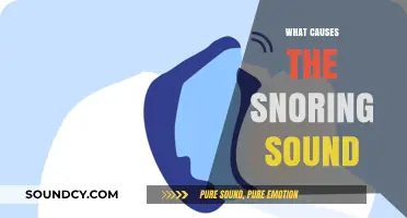 Understanding Snoring: Causes Behind the Nighttime Noise Explained