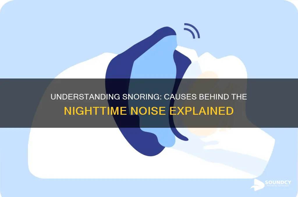 what causes the snoring sound
