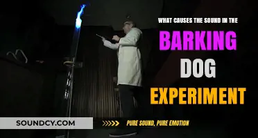 Unraveling the Mystery: What Causes the Sound in the Barking Dog Experiment?