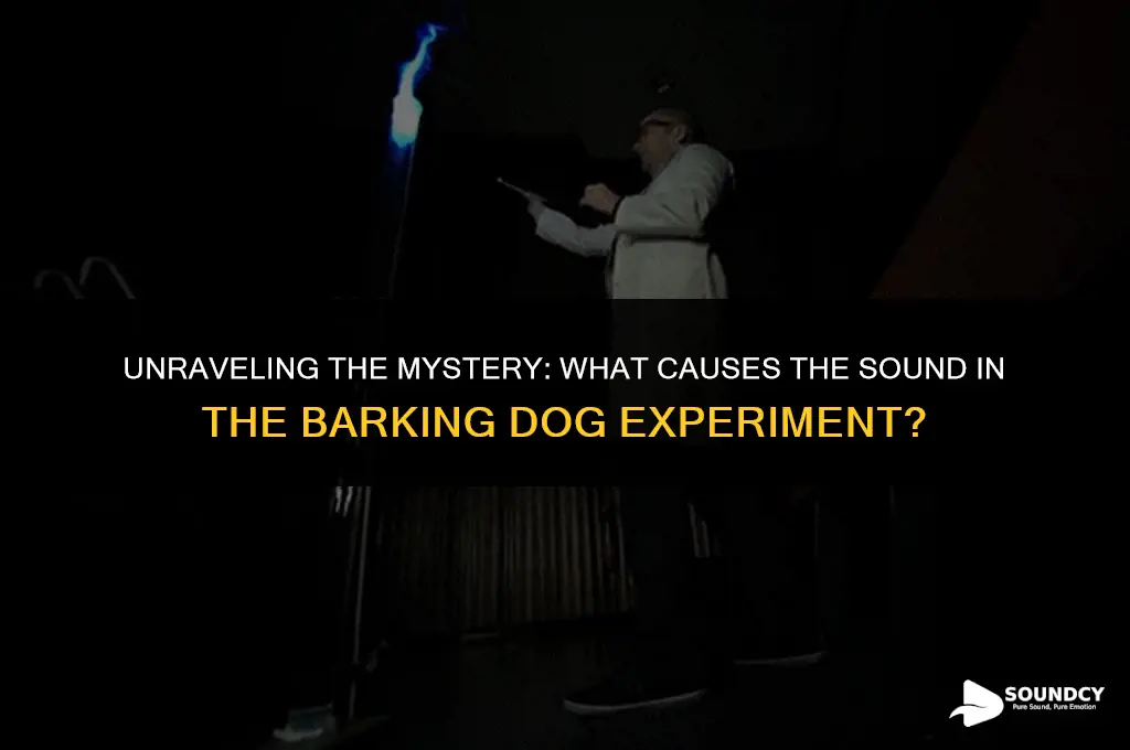 what causes the sound in the barking dog experiment