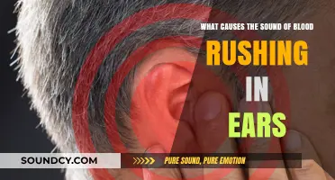 Unraveling the Mystery: What Causes Blood Rushing Sounds in Ears?