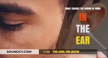 Unraveling the Mystery: What Causes That Annoying Wind Sound in Your Ear?