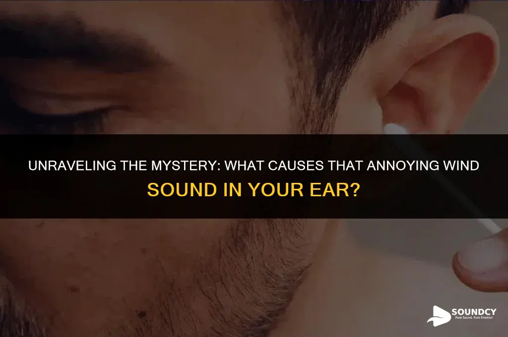 what causes the sound of wind in the ear