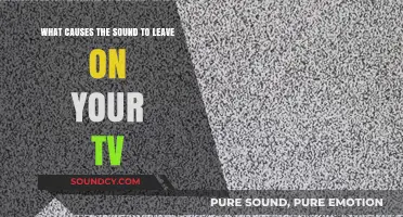 Why Your TV Keeps Making Noise: Common Causes and Fixes