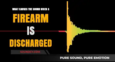 Exploring the Science Behind the Bang: How Firearms Produce Sound