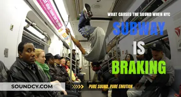 Decoding the Screech: What Causes NYC Subway Braking Sounds?