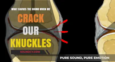 The Surprising Science Behind the Sound of Cracking Knuckles
