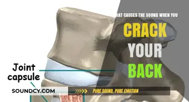 Exploring the Science Behind That Satisfying Back Crack Sound