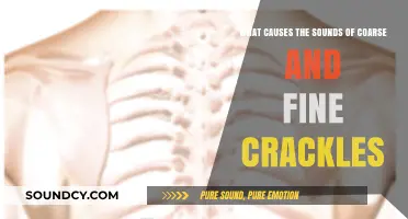 Exploring the Origins of Coarse and Fine Crackles: A Sonic Journey