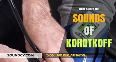 Korotkoff Sounds: What's Behind the Noises?