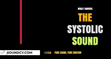 Understanding Systolic Sound: Causes and Mechanisms Behind the Heart's Lub