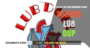Understanding the Lub-Dub: Exploring the Causes of Heart Sounds