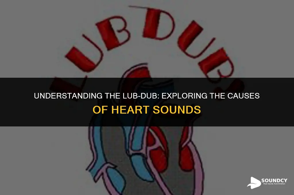 what causes the two prominent heart sounds lub dup