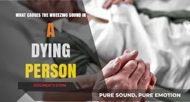 Understanding the Wheezing Sound in a Dying Person