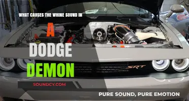 Decoding the Whine: Uncovering the Causes Behind Your Dodge Demon's Noise