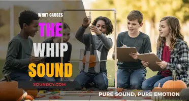 Unraveling the Science Behind the Iconic Whip Crack Sound