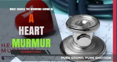 Unraveling the Mystery: What Causes the Whirring Sound in a Heart Murmur?