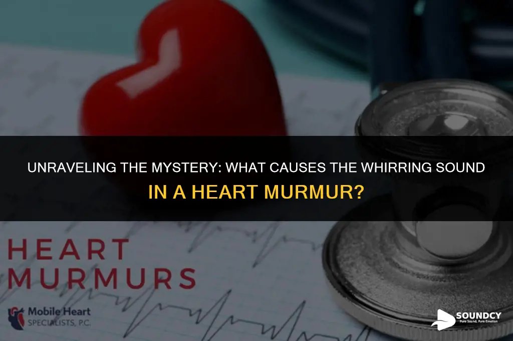what causes the whirring sound in a heart murmur