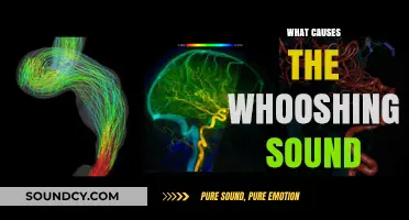 Unraveling the Mystery: What Causes the Whooshing Sound?
