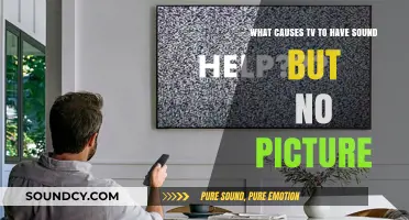 Troubleshooting TV Issues: Sound But No Picture Explained