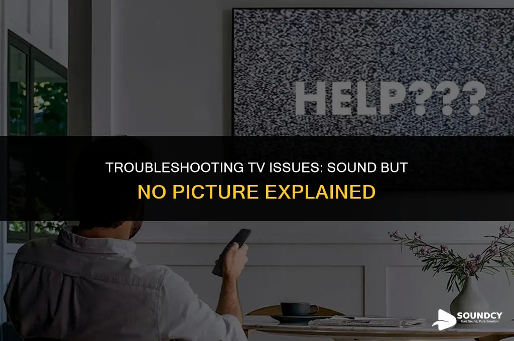 what causes tv to have sound but no picture